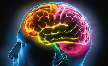 Neurociencias se suman para medir la intención de voto en Argentina