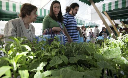 Domingo de Mercado del Trueque en el bosque de Chapultepec