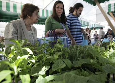 Domingo de Mercado del Trueque en el bosque de Chapultepec