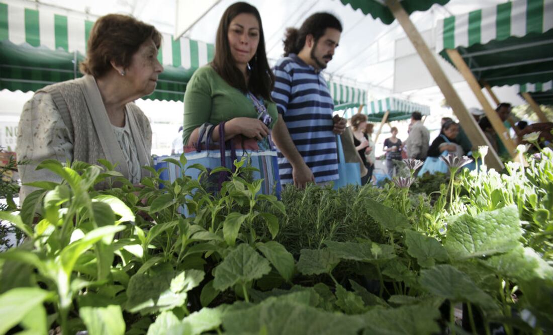 Foto: Archivo/EL UNIVERSAL