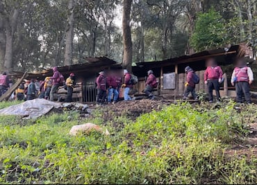Recuperan autoridades 9 hectáreas de Área Natural Protegida en el paraje “El Rincón” de la Magdalena Contreras