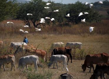 Avanza en Jalisco campaña contra tuberculosis