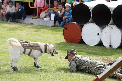 Desarrollan la "App Frida 1.0" para casos de emergencia