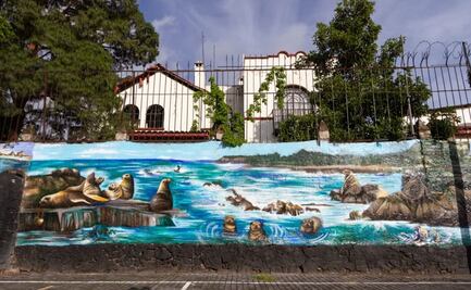 Sedema entrega reconocimientos a participantes de “Ola Metrópoli”