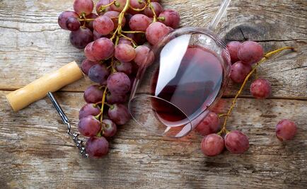 Lagarde es la primera productora de vinos de alta gama en Argentina