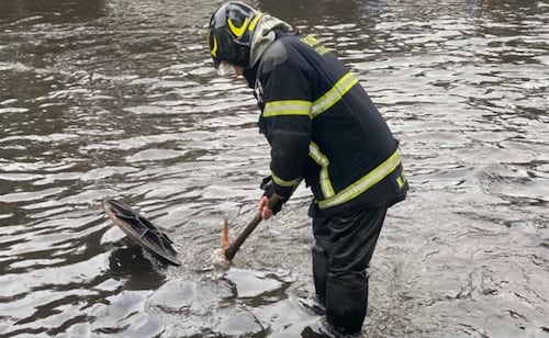 Mexico City rains leave 71 emergencies; Firefighters attend to fallen trees and water accumulation