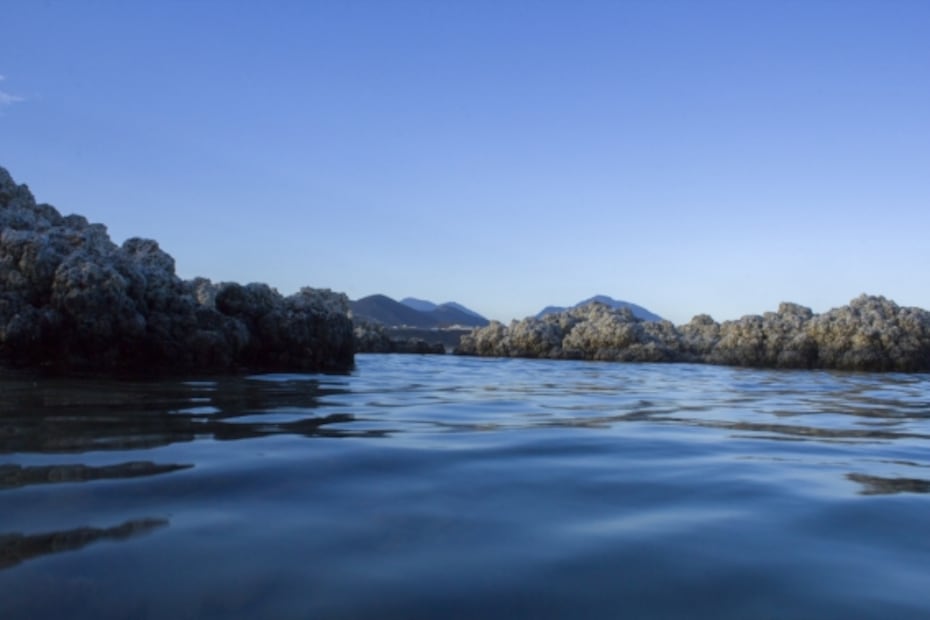 En Puebla, conoce las lagunas de cráter a menos de tres horas de CDMX