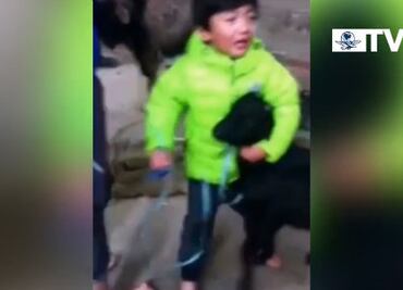 Niño salva una cabra en templo de Nepal
