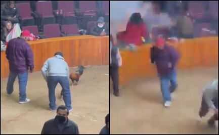 VIDEO: Lanzan granadas durante pelea de gallos en palenque de Hidalgo