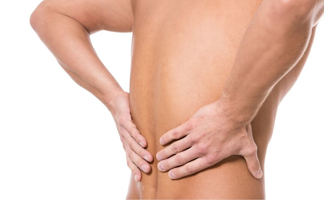 Riñones. Fuente: Freepik