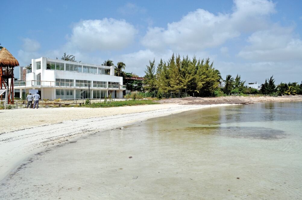 Pieza clave. Claudia Romanillos Villanueva, ex titular del Ipae, está relacionada con la venta irregular de 22 predios para familiares de Borge. (ARCHIVO EL UNIVERSAL)