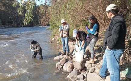 Realizan estudios en aguas del Río Tula para identificar fuentes de contaminación; buscan realizar acciones de saneamiento