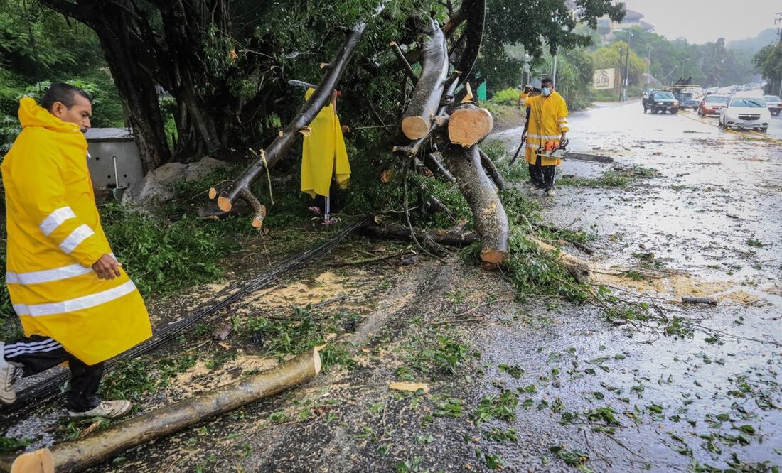 Bomberos remueven un árbol caído, tras el paso de "Nora" en Acapulco, Guerrero. Foto: EFE