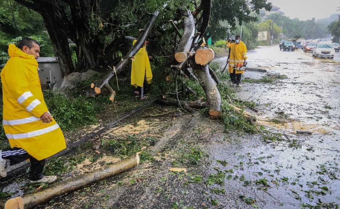 Bomberos remueven un árbol caído, tras el paso de "Nora" en Acapulco, Guerrero. Foto: EFE