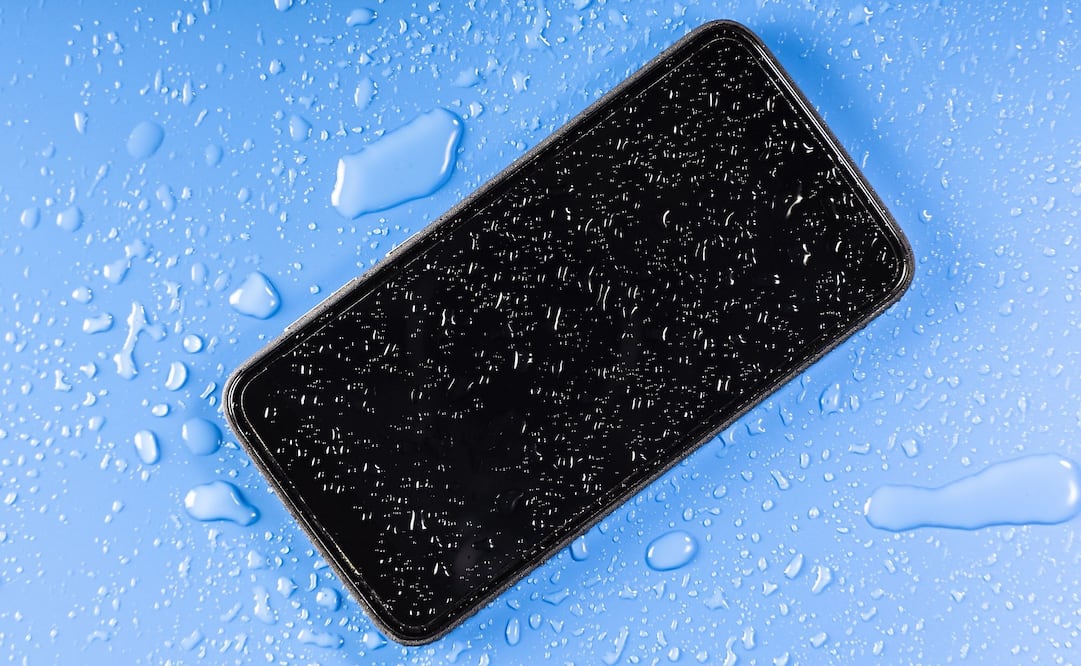 No todos los celulares son resistentes al agua. Foto: Especial