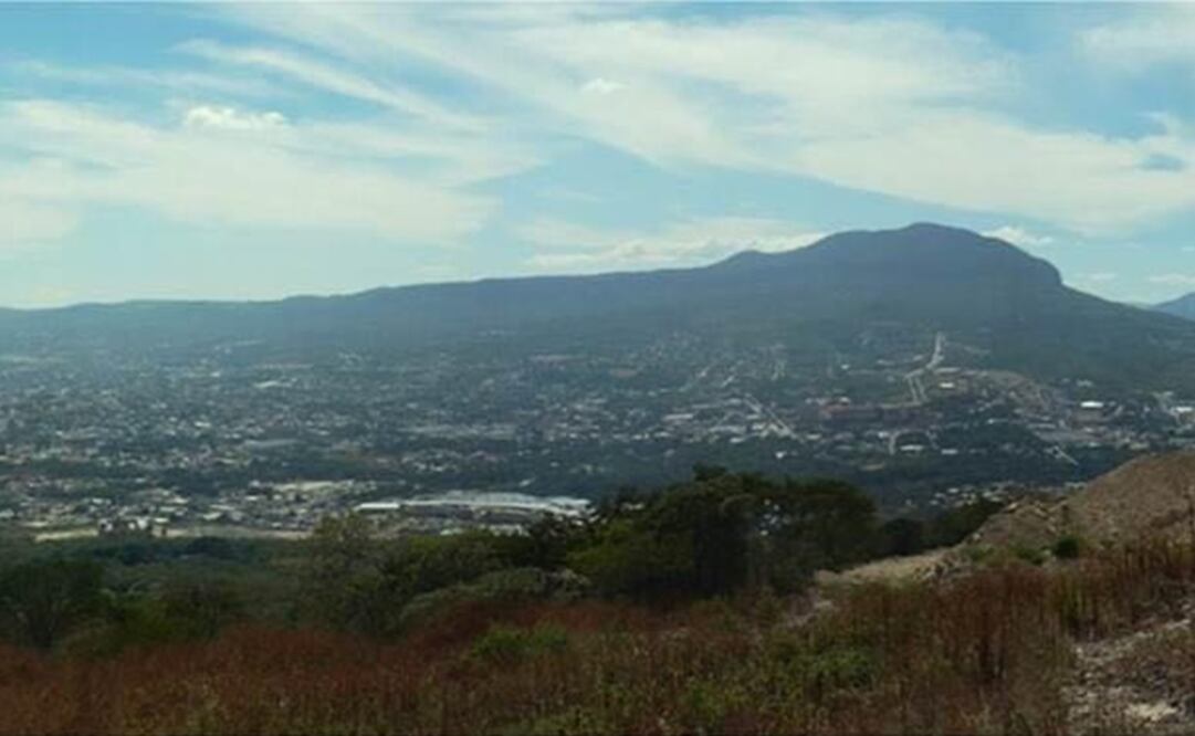 Cambio de uso de suelo genera riesgos a la biodiversidad y la sustentabilidad de la Meseta de Copoya. (FOTO: Especial)