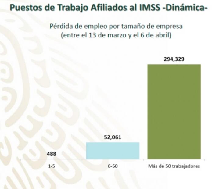 Quiénes y en dónde han perdido su empleo en México por el Covid-19
