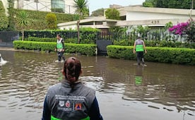 Lluvias en CDMX dejan encharcamientos y caída de árboles; reportan afectaciones en Álvaro Obregón y Benito Juárez