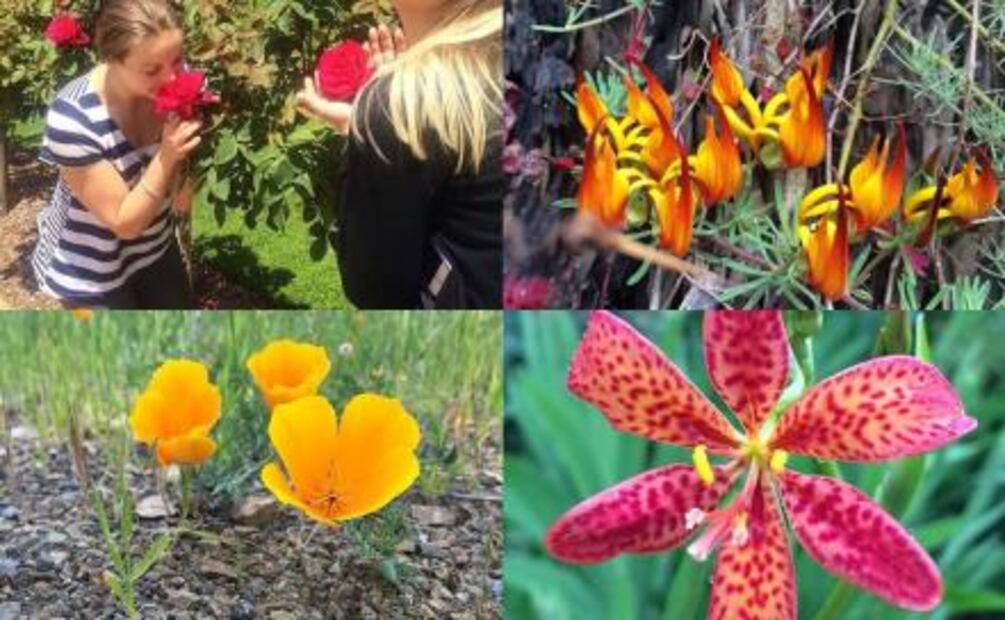 Perros y comida, las pasiones de Tatiana, la estadounidense que murió en taquería de las Lomas