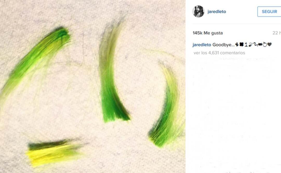 Durante cuatro meses se transformó en el personaje Foto:Instagram