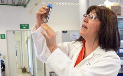 Estudian en la UNAM bacterias que degradan hidrocarburos