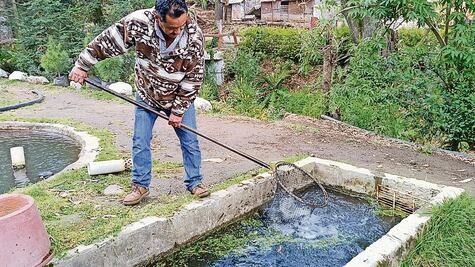 Productores de truchas se preparan para recibir turistas en vacaciones