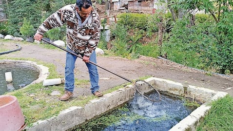 Productores de truchas se preparan para recibir turistas en vacaciones
