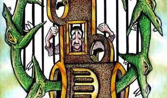 Combate a redes criminales