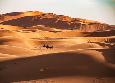 ¿Dónde está el Sahara y qué tan grande es este desierto?