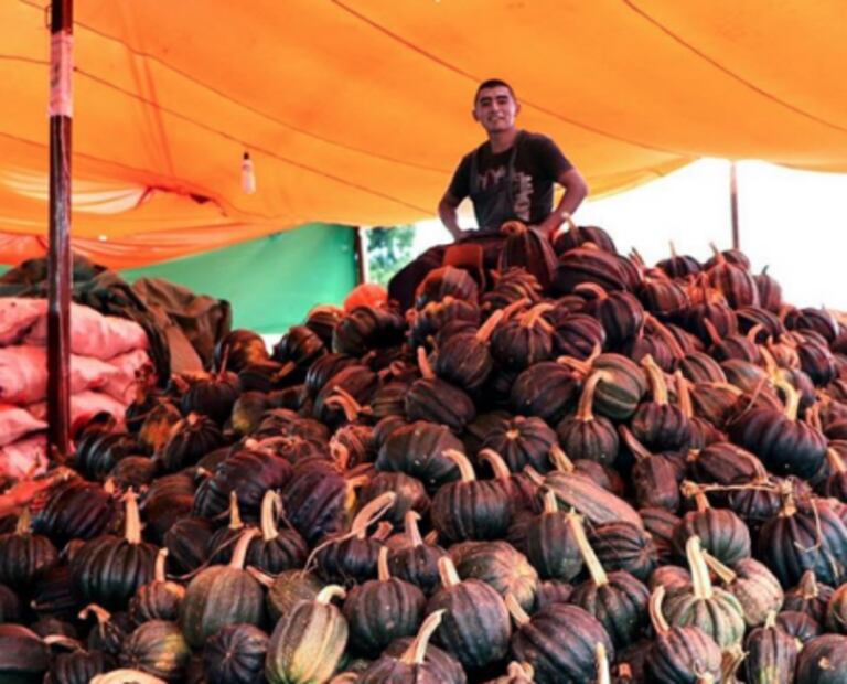 5 cosas que no conocías de la Central de Abasto