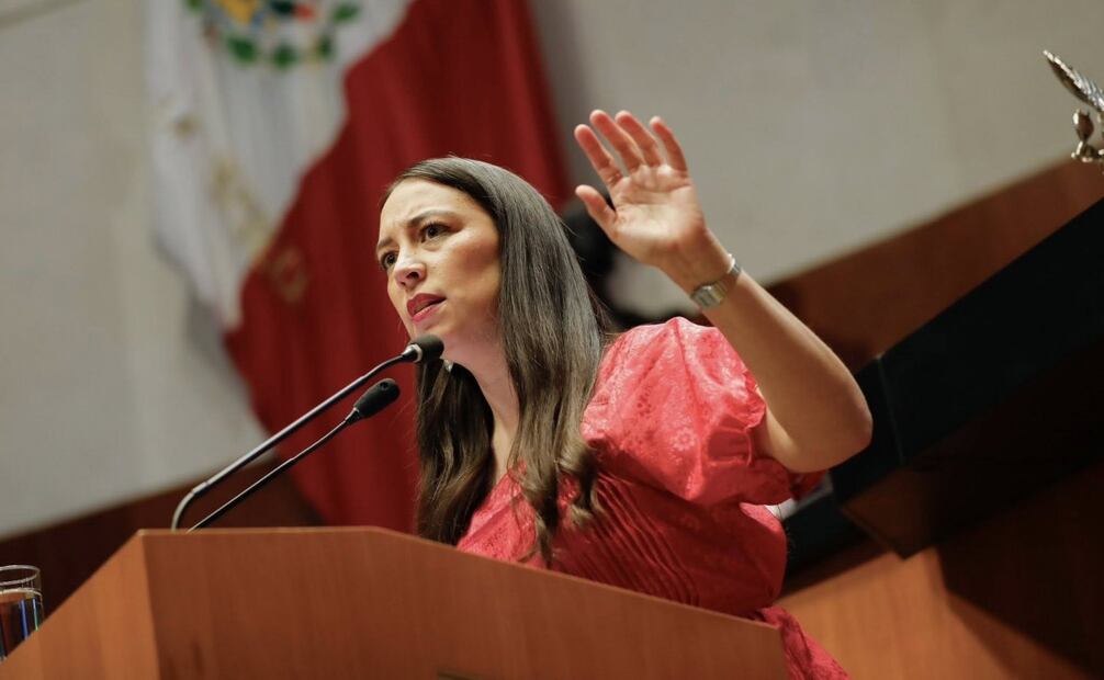 Julieta Ramírez Padilla, senadora con licencia de Morena por Baja California. Foto: Especial