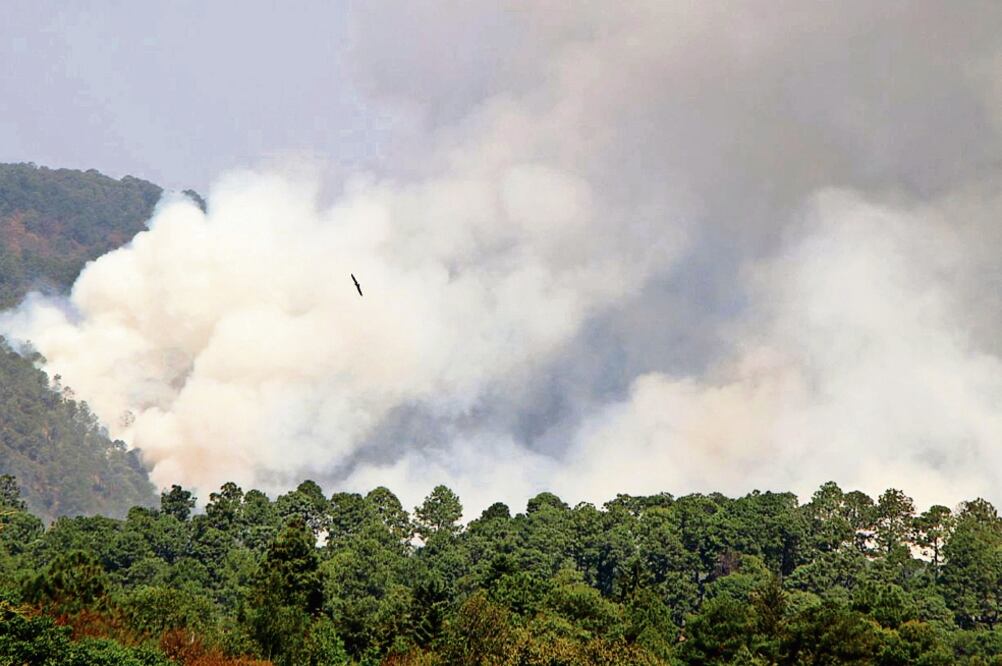 Al inicio de año hubo nueve incendios en Amecameca, Acambay, San José del Rincón, Ocuilan, San Felipe del Progreso, Tenango del Valle e Ixtapaluca. Foto: CLAUDIA GONZÁLEZ. EL UNIVERSAL