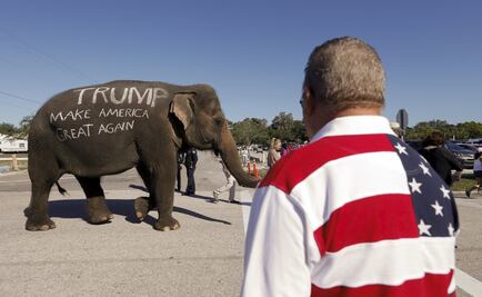 Equipo de Trump llega con elefante a evento en Florida