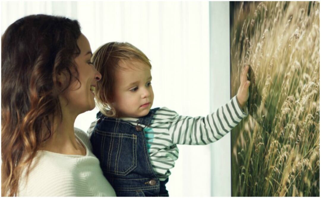 El mercado femenino busca en un televisor la mejor tecnología y un diseño limpio y elegante