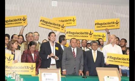 Entregan 120 mil firmas por despenalización de cannabis