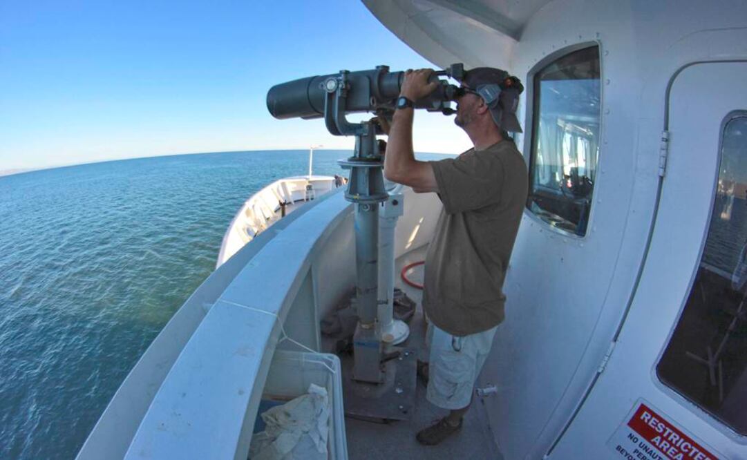 Gobierno Federal declara veda permanente para protección de la vaquita marina