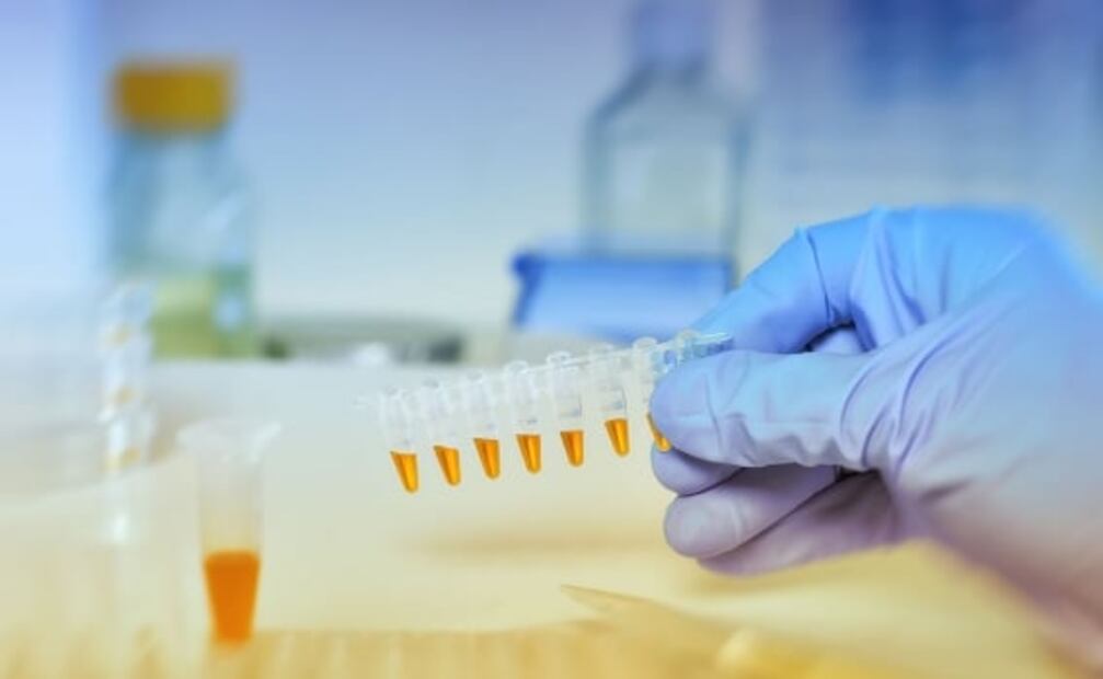 El cáncer de pulmón es prevenible en el 80% de los casos  