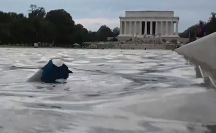 VIDEO: Tras millonaria remodelación, estanque reflectante de Washington se llena de algas, otra vez; proyecto habría costado 14 mdd