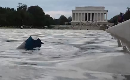 VIDEO: Tras millonaria remodelación, estanque reflectante de Washington se llena de algas, otra vez; proyecto habría costado 14 mdd