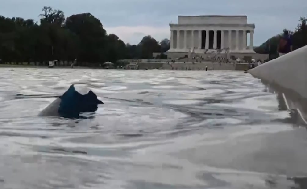 Las obras en el estanque situado frente al Monumento a Abraham Lincoln, en Washington, concluyeron a principios de junio. Foto: Tomada de video