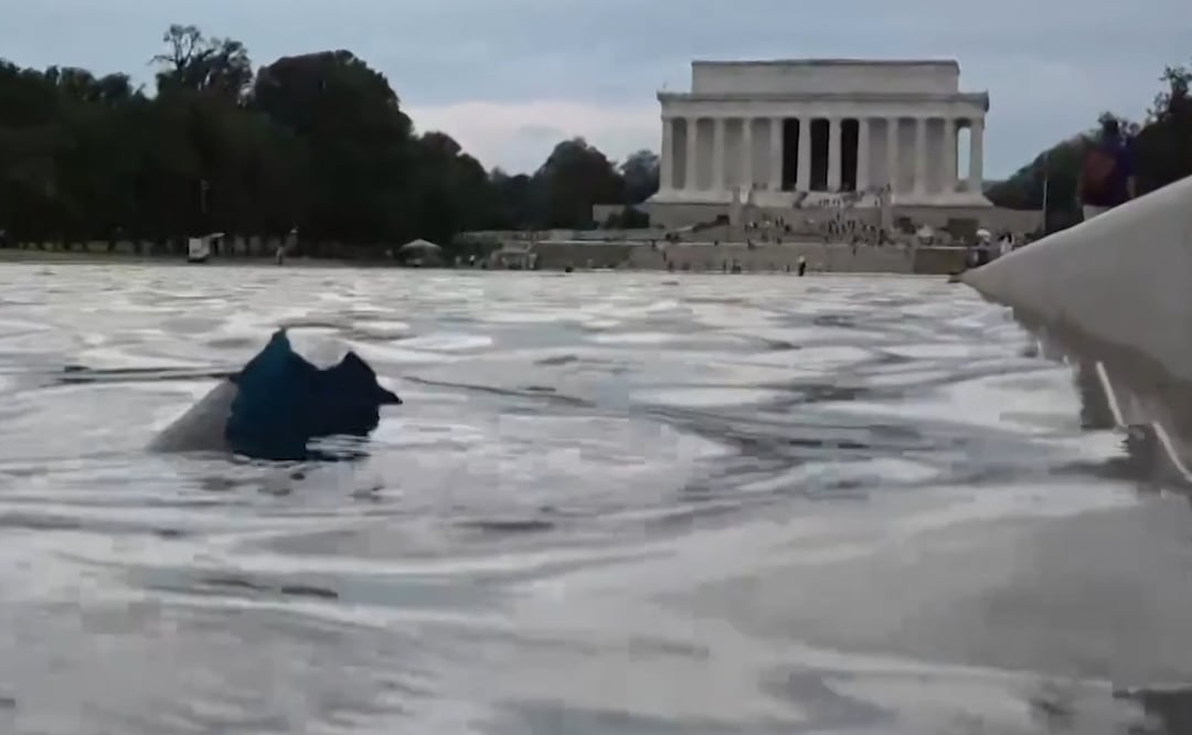 Las obras en el estanque situado frente al Monumento a Abraham Lincoln, en Washington, concluyeron a principios de junio. Foto: Tomada de video