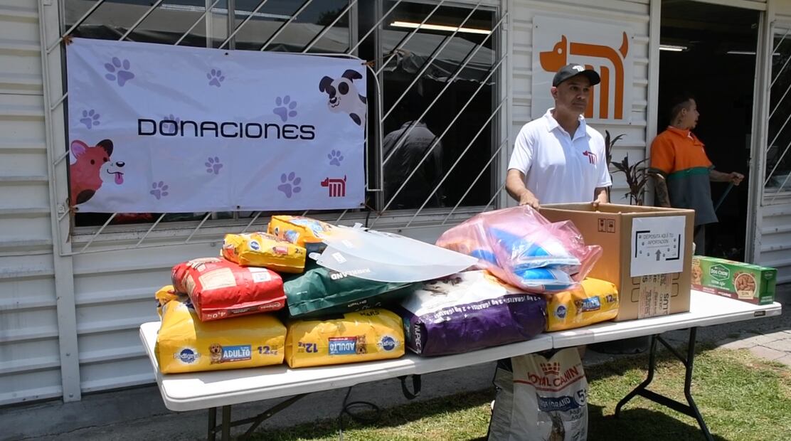 Perritos recibirán donaciones en el Croquetón 2023. FOTO: Especial/ EL UNIVERSAL/