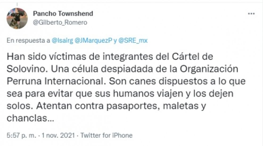 Perrita Simona se come pasaporte y usuarios de Twitter denuncian al Cártel de Solovino