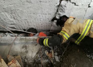 Reportan 6 muertos y 22 heridos por derrumbe en Álvaro Obregón