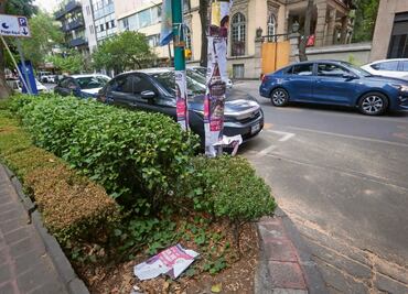 Tras elección, permanece propaganda