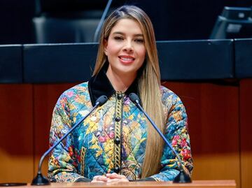 Senadora del PVEM, Ruth González descarta aspiraciones a la gubernatura de SLP para 2027; seguirá en el Senado hasta 2030