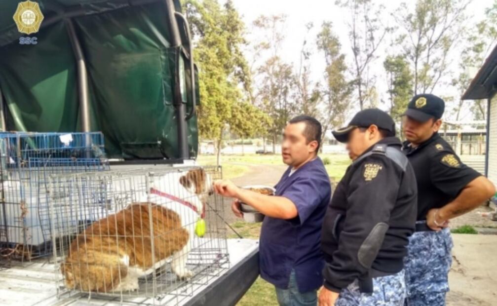 Fiscalía capitalina rescató a "Emilio", con operativo encubierto en la Doctores