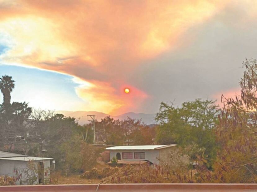 Incendios en bosques dejan en emergencia a cinco municipios