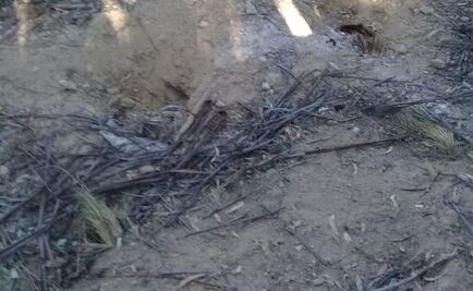 Hallan 6 cadáveres con descomposición avanzada en Edomex