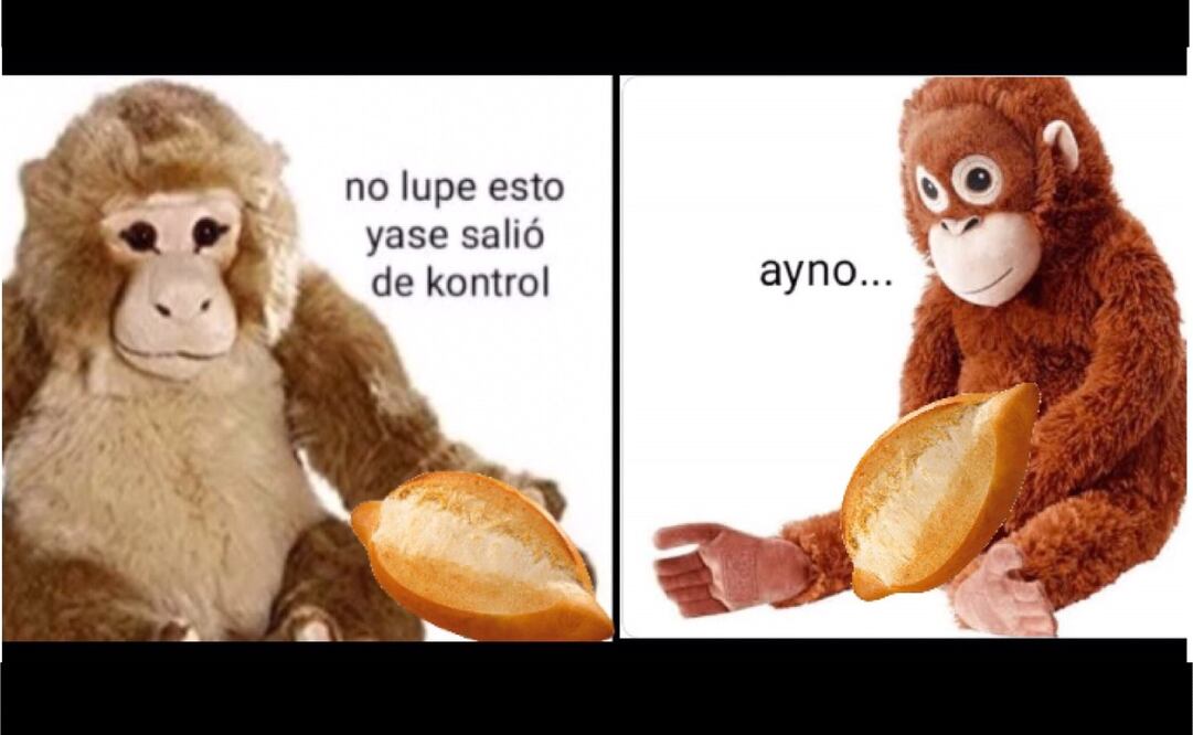 Memes para el susto, después de la falsa alerta sísmica en CDMX